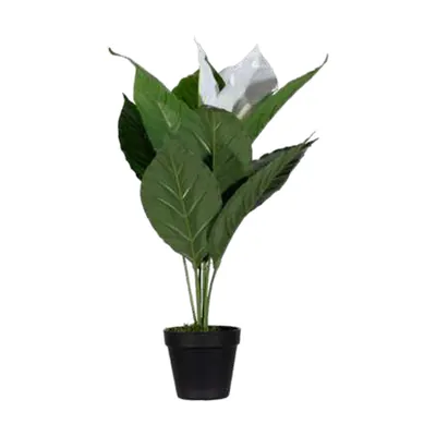 Plante artificielle Fleur de lune