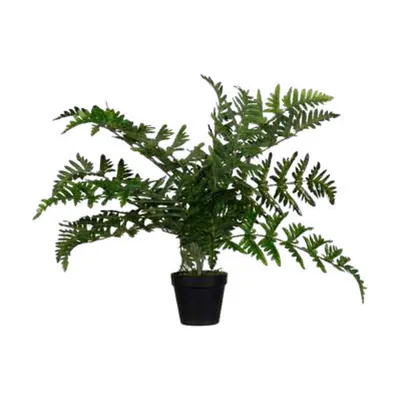 Plante artificielle Fougère