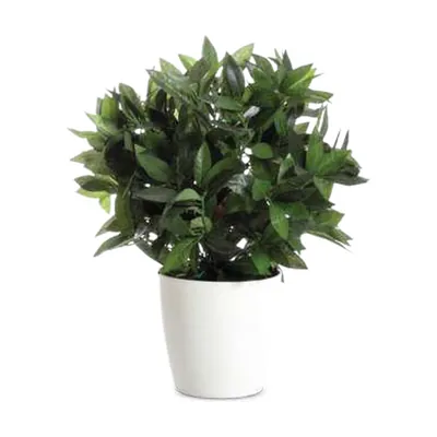Plante artificielle Laurier