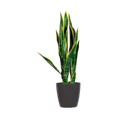 Plante artificielle Sansevieria